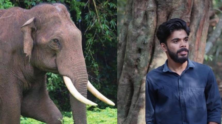 വീണ്ടും കാട്ടാന ആക്രമണം; ഇടുക്കിയിൽ യുവാവിന് ദാരുണാന്ത്യം