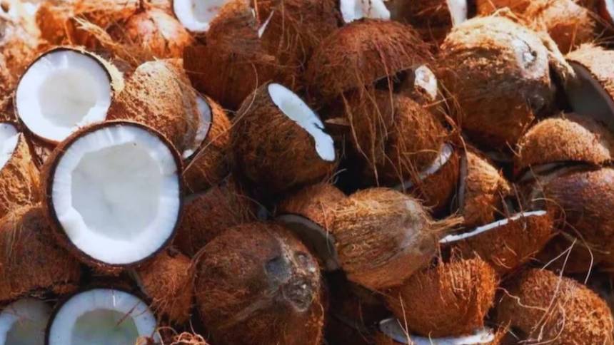 തേങ്ങയുടെ താങ്ങുവില 121 ശതമാനം വർധിപ്പിച്ച് കേന്ദ്ര സർക്കാർ