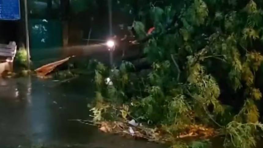 ഡൽഹിയിൽ കനത്ത മഴ; മരം കടപുഴകി വീണ് നാല് മരണം